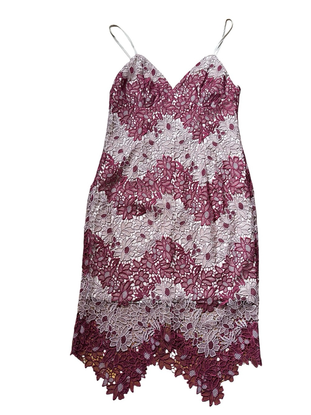 Bardot Two-Tone Floral Guipure Lace Slip Dress Berry Burgundy Size 10 NWT